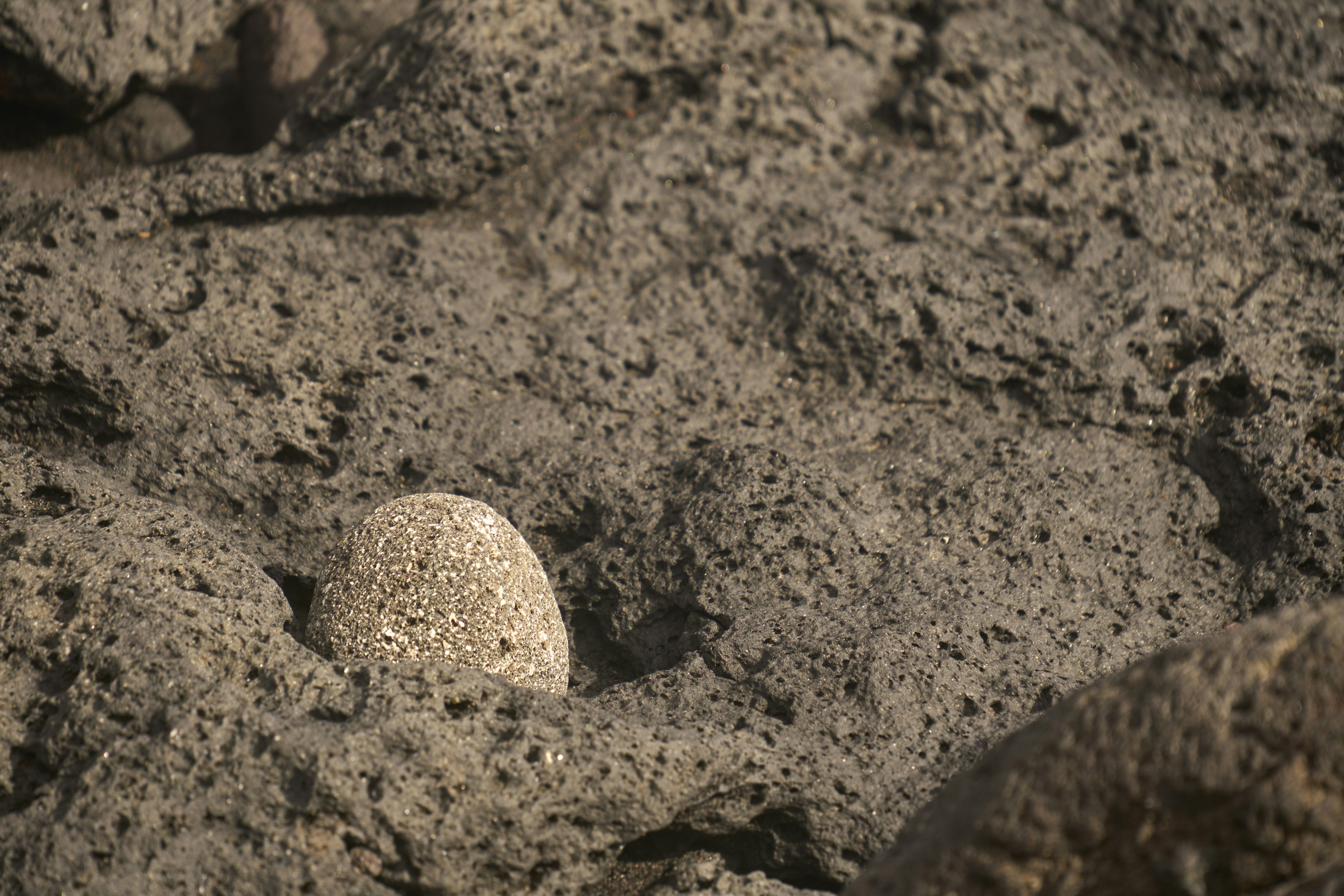A single light-colored pebble rests on dark volcanic rock.
